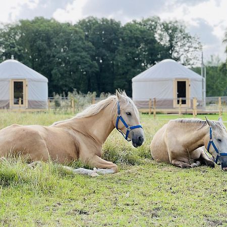 Magnolia Hoeve - Unieke Bestemming Voor Paardenliefhebbers En Bijzondere Overnachtingen In De Natuur Ledeacker Exterior foto