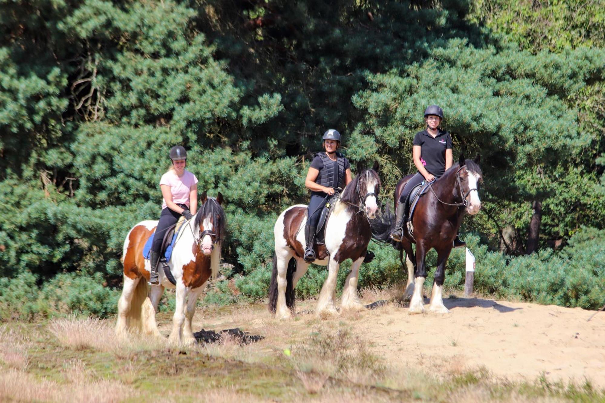 Magnolia Hoeve - Unieke Bestemming Voor Paardenliefhebbers En Bijzondere Overnachtingen In De Natuur Ledeacker Exterior foto